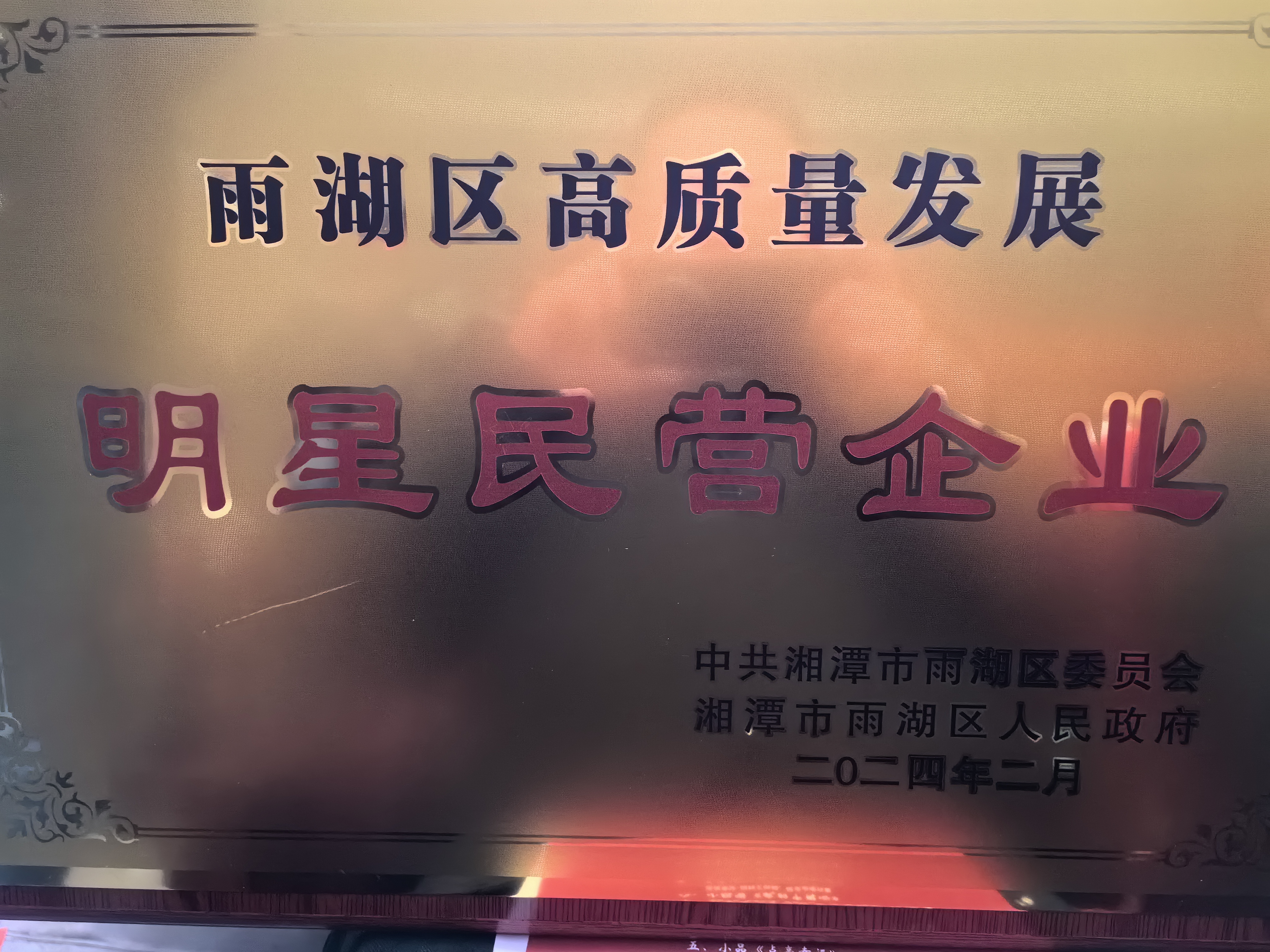 乐动在线荣获“雨湖区高质量发展明星民营企业”称号
